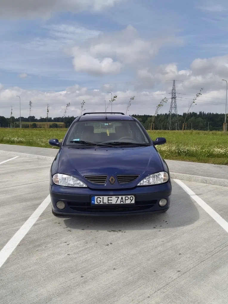 Zdjęcie: 2003 Renault Megane