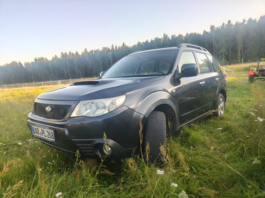 Zdjęcie: 2010 Subaru Forester