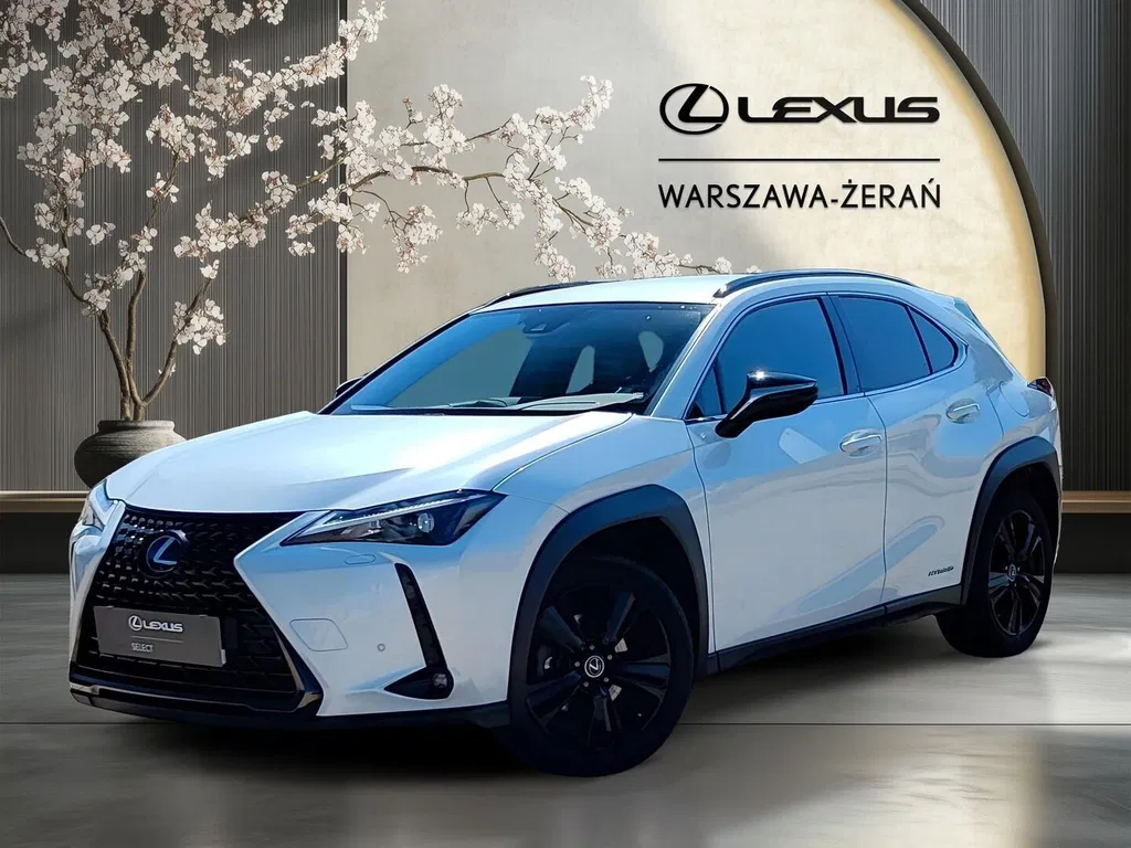 Zdjęcie: 2021 Lexus UX