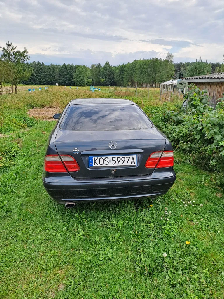 Zdjęcie: 2000 Mercedes-Benz CLK Klasa