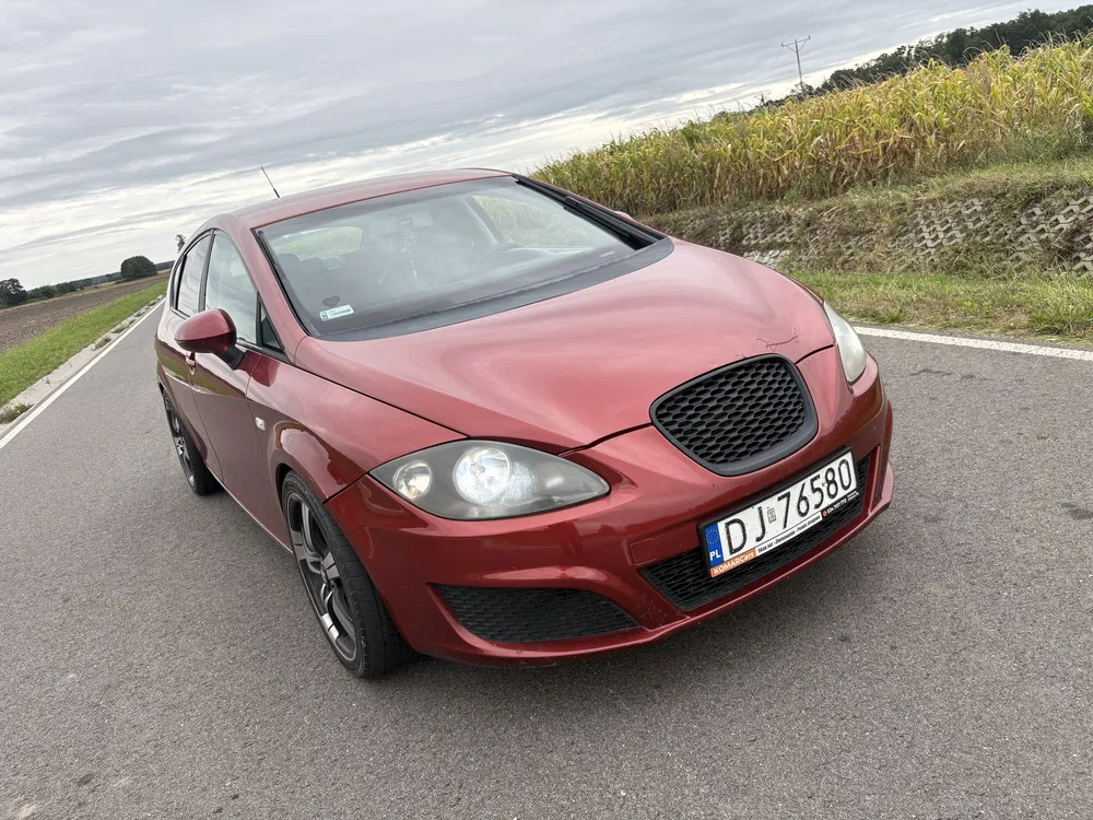 Zdjęcie: 2010 Seat Leon