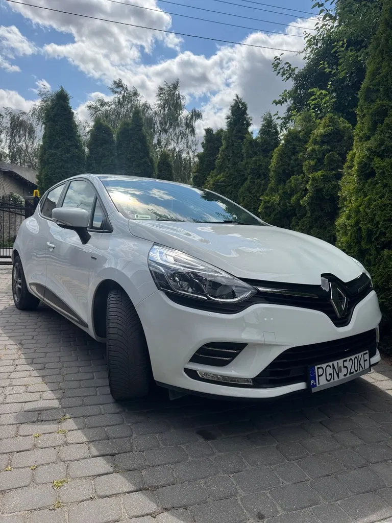 Zdjęcie: 2019 Renault Clio