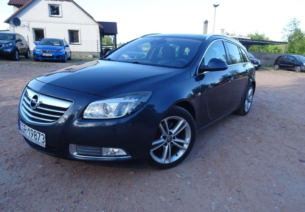 Zdjęcie: 2010 Opel Insignia