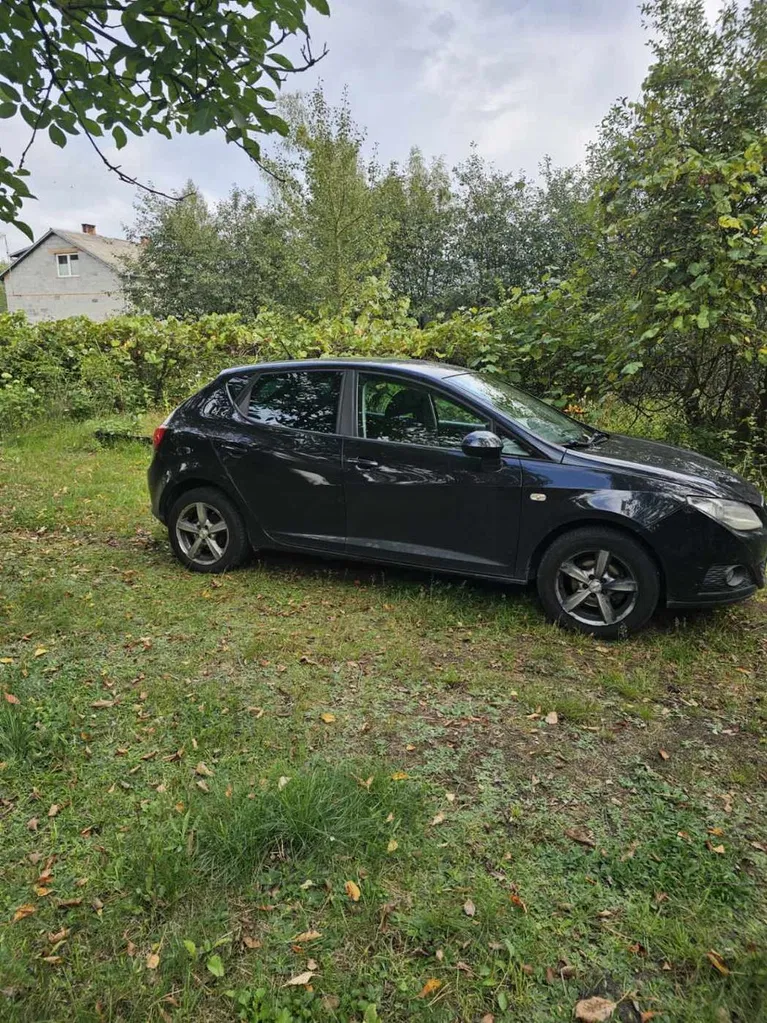 Zdjęcie: 2010 Seat Ibiza
