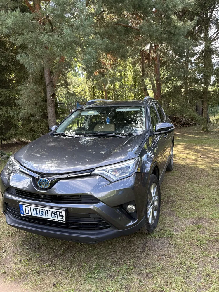 Zdjęcie: 2016 Toyota RAV-4