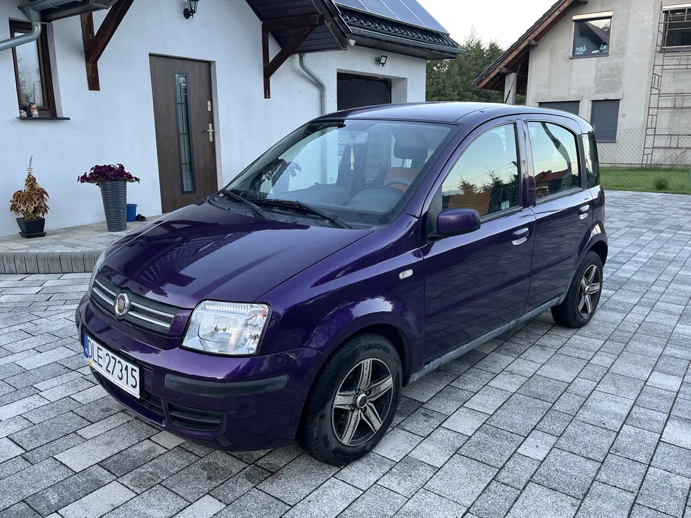 Zdjęcie: 2009 Fiat Panda