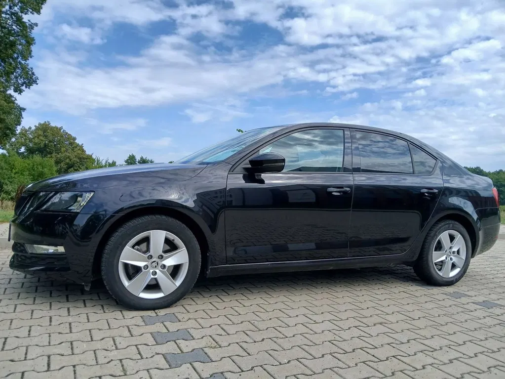 Zdjęcie: 2019 Skoda Octavia