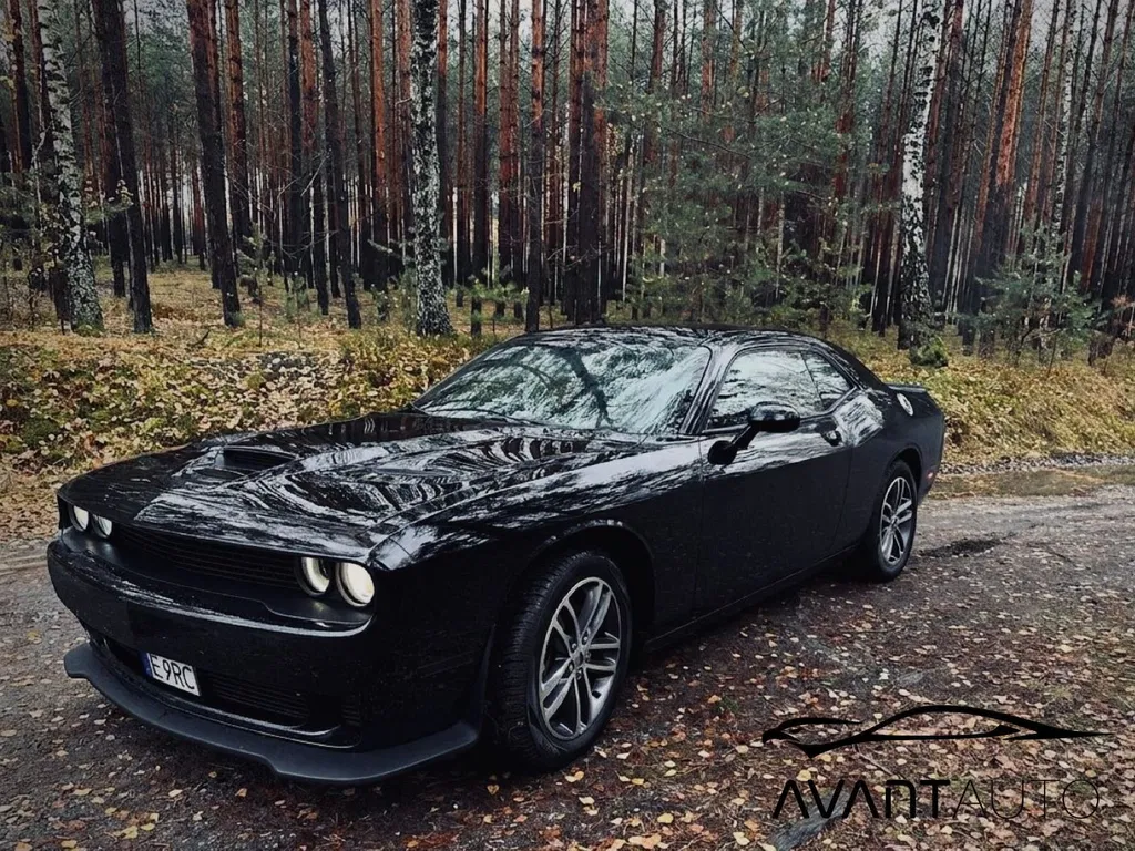 Zdjęcie: 2019 Dodge Challenger