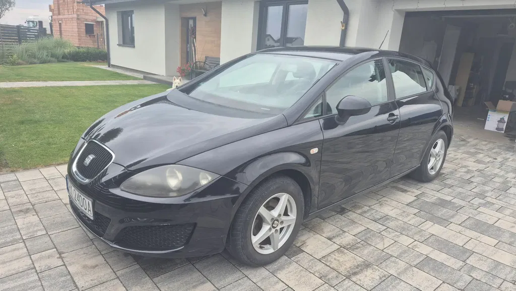 Zdjęcie: 2010 Seat Leon