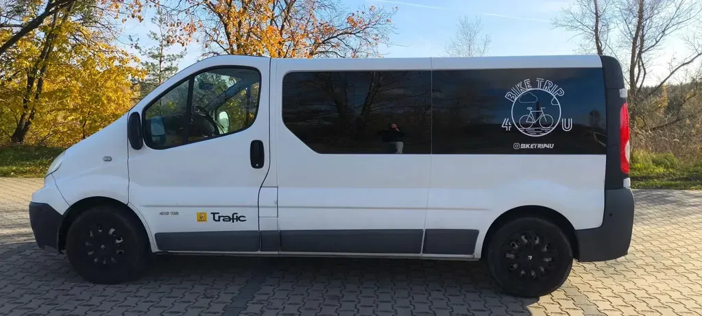Zdjęcie: 2012 Renault Trafic