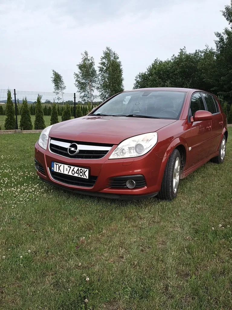 Zdjęcie: 2006 Opel Signum