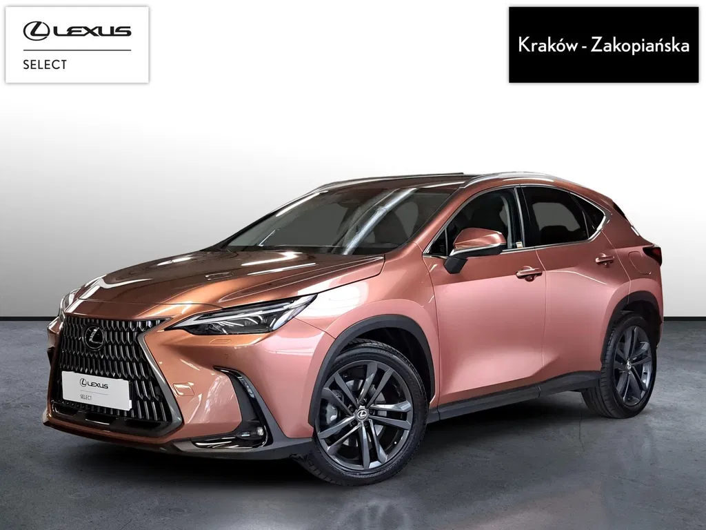 Zdjęcie: 2025 Lexus NX
