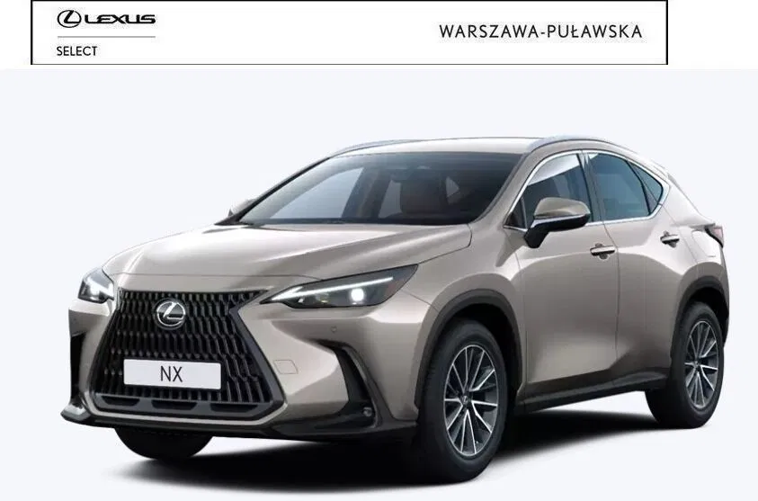 Zdjęcie: 2023 Lexus NX