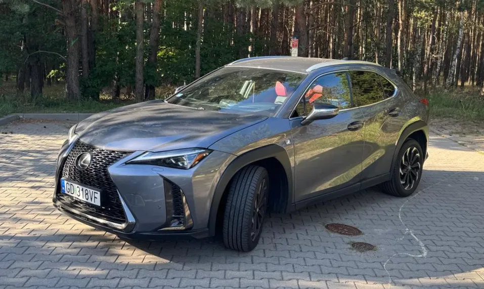 Zdjęcie: 2019 Lexus UX