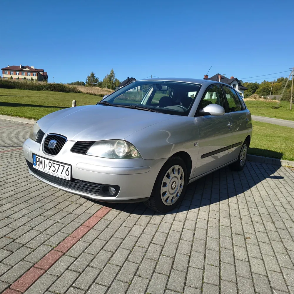 Zdjęcie: 2002 Seat Ibiza