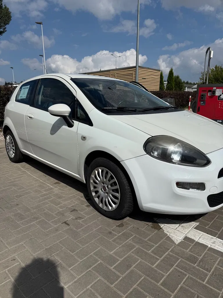Zdjęcie: 2013 Fiat Punto